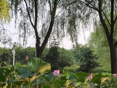 -郑州植物园
