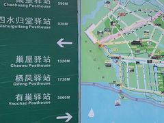 -合肥滨湖国家森林公园