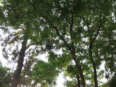 -维乐口腔医院(福清院)