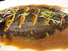-青岛蓝海大饭店·渔歌舫(李沧店)