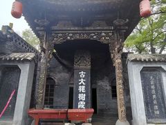 -大槐树寻根祭祖园