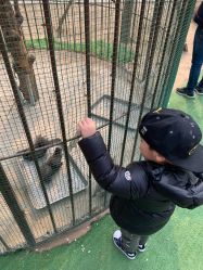 -萌宠亲子动物乐园(槐房万达店)