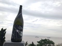 -平湖九龙山旅游度假区