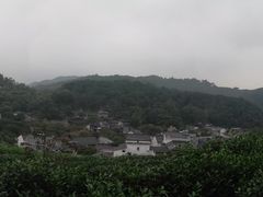 -龙井村