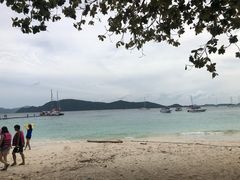 -珊瑚岛