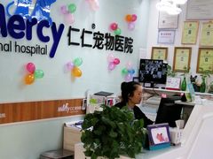 -宠福鑫动物医院·动物疾病诊疗中心(天通苑店)
