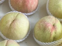 -老袁家蜜桃农场·阳山水蜜桃