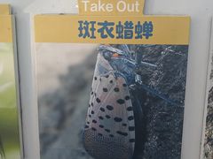 -佛慧山