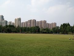 -青枫公园