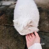 翻到了年前赶上下雪的时候去的旧宫，还是没忍住把照片发