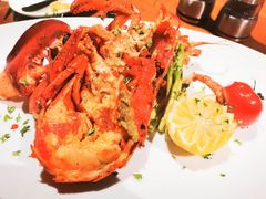 -郑州绿地JW万豪酒店The Grill烤汇扒房