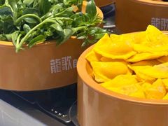 -龍歌自助小火锅(市北CBD万达店)
