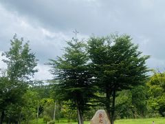 -河源御临门度假村温泉