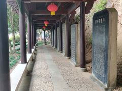 -严子陵钓台(富春江小三峡)