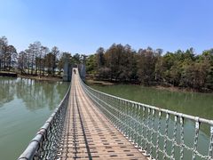 -东湖落雁景区