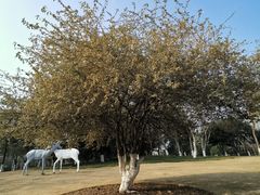 -后襄河公园