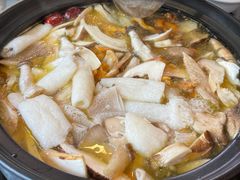 -蘑统田下·野生菌火锅