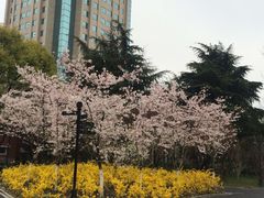 -鲁迅公园