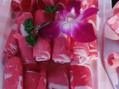 -季季红火锅(动壹店)