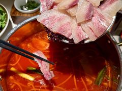 -上海新锦江大酒店