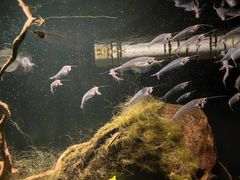 -太平洋海底世界