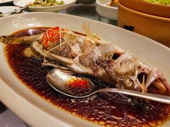 -鑫悦诚府·新鲁菜·餐厅(趵突泉店)