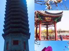 -西海子公园