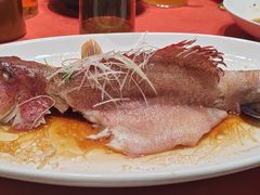 -船歌·鱼水饺青岛菜(闽江二路店)