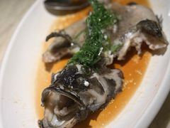 -陶陶居酒家(SM二期购物广场店)