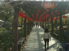 -白马涧龙池景区