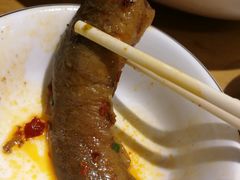 情妹耙泥鳅-情妹耙泥鳅·江湖川菜(科华店)