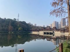-重庆彩云湖湿地公园