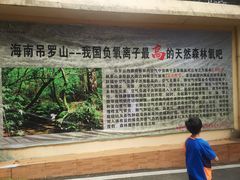 -海南热带雨林国家公园吊罗山景区