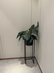 -禾丽康美医疗美容医院