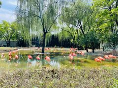 -石家庄市动物园