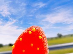 -海南热带野生动植物园