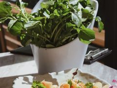 -同仁四季椰子鸡(福田东园总店)