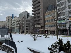 -札幌电视塔