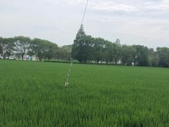 -地铁11号线罗山路站-停车场