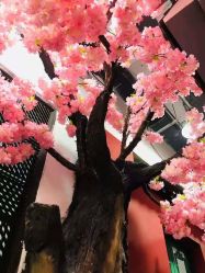 点击看大图 -盘子女人坊古装写真摄影(长春总店)