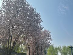 -西安汉城湖景区