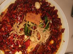 毛血旺-初蓉丨遇见新川菜(亲贤街荣耀店)