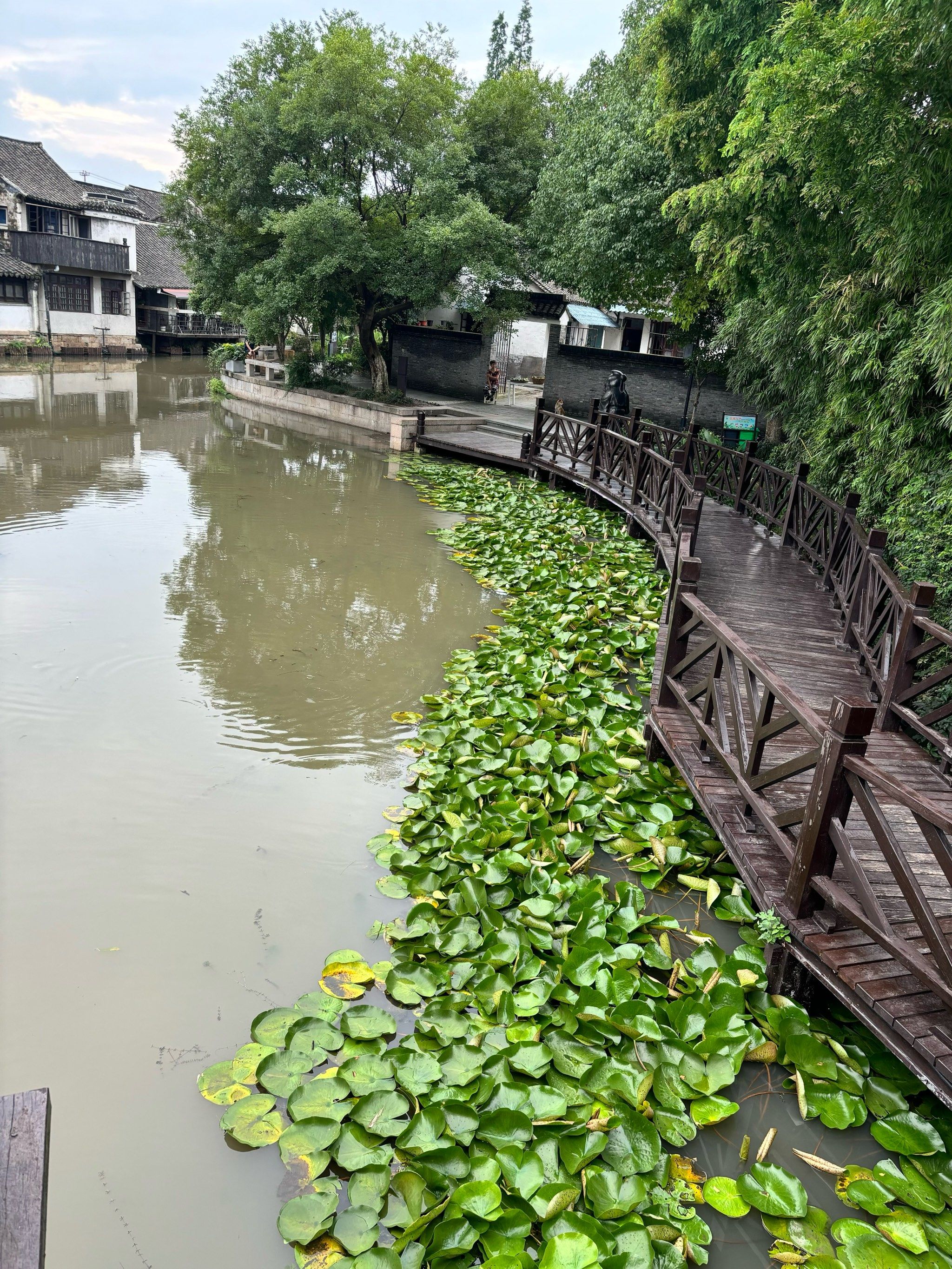 n但是需要门票9955元.
但是今天要介绍的是千灯旁的歇马桥古 ..