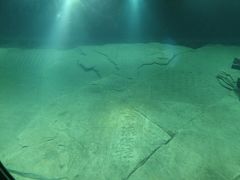 -白鹤梁水下博物馆
