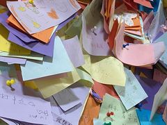 -志龙皇冠吃货椰子铺