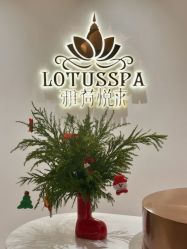 -雅荷悦来双美