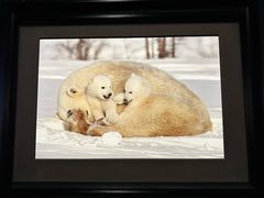 -罗红摄影艺术馆