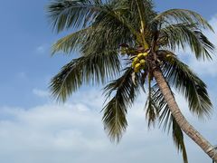 -惠州金海湾嘉华度假酒店