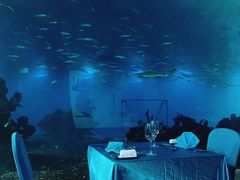 -海棠湾洲际-涛·海底餐厅·美人鱼·自助餐·海底隧道