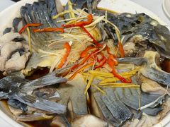 -煲来饱去冷水鱼